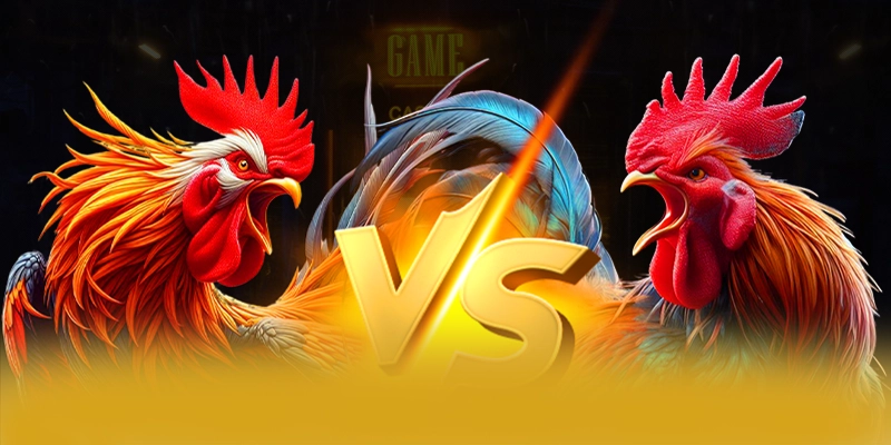 BET88 - Sảnh game cung cấp hàng trăm tựa game đẳng cấp hiện nay