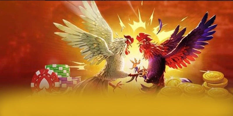 Điểm khác biệt của 8XBET trong cùng phân khúc
