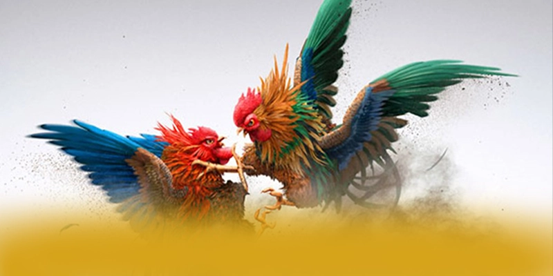 Tìm hiểu SUNWIN - Sảnh game chất lượng hiện nay