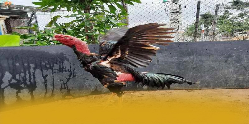SUNWIN - Nhà cái có danh mục game hấp dẫn 2026